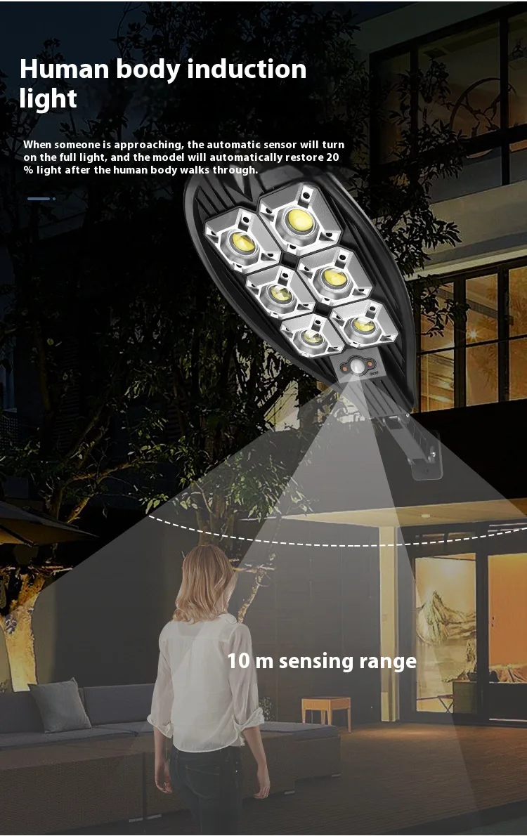 Solar Pathway Light